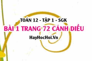 Bài 1 trang 72 Toán 12 tập 1 Cánh Diều